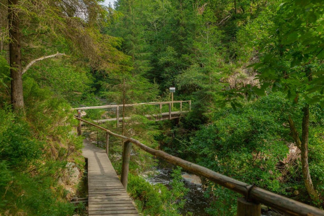 La Mignonne Des Fagnes Villa Malmedy Eksteriør bilde